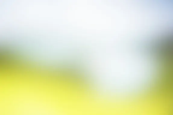 PocketWin Kasino Sokongan